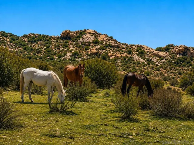 0 Rancho Penasquitos, None, California 99999