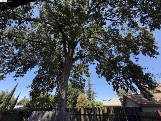 217 Cedar St, Roseville, California 95678