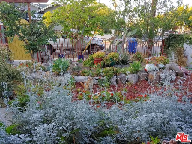 Front yard from covered porch