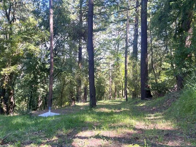 19179 Skyline Blvd