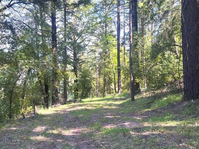 19179 Skyline Boulevard, Los Gatos, California 95033 — photo 4