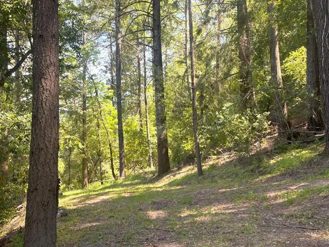 19179 Skyline Boulevard, Los Gatos, California 95033