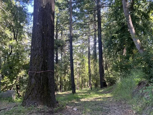 19179 Skyline Boulevard, Los Gatos, California 95033
