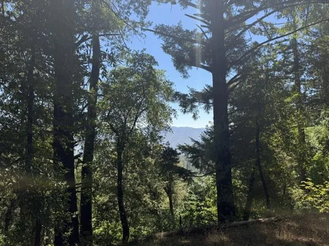 19179 Skyline Boulevard, Los Gatos, California 95033