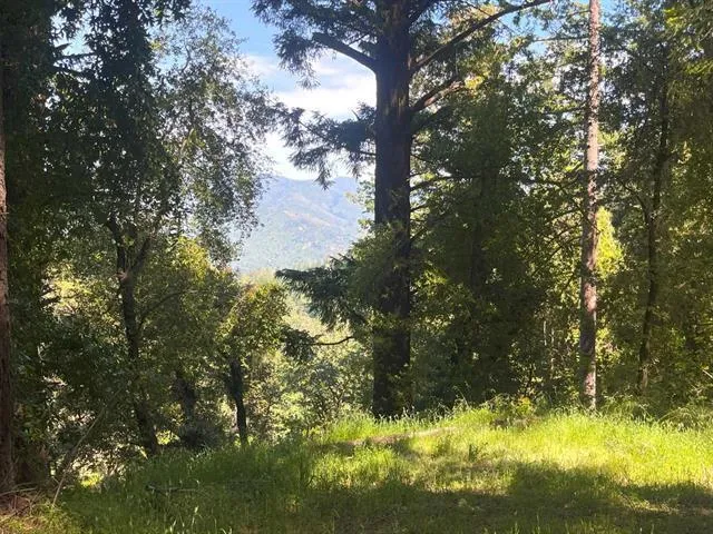 19179 Skyline Boulevard, Los Gatos, California 95033