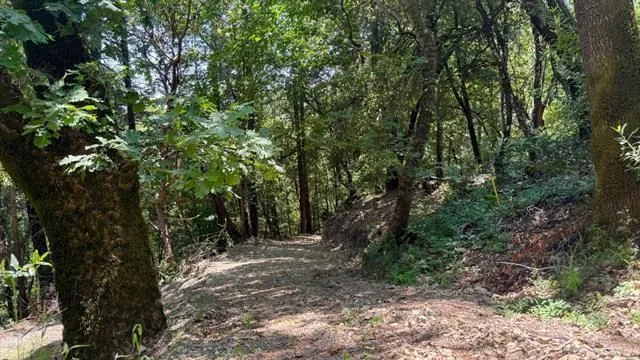 19179 Skyline Boulevard, Los Gatos, California 95033