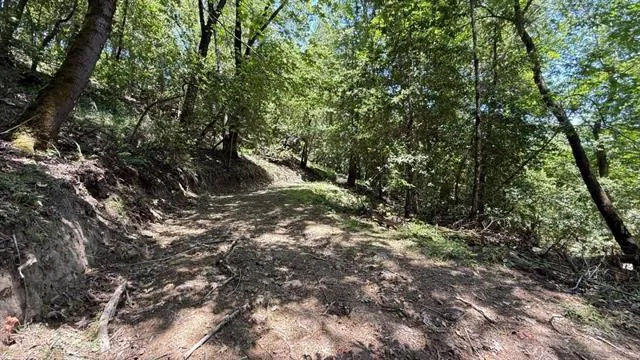 19179 Skyline Boulevard, Los Gatos, California 95033