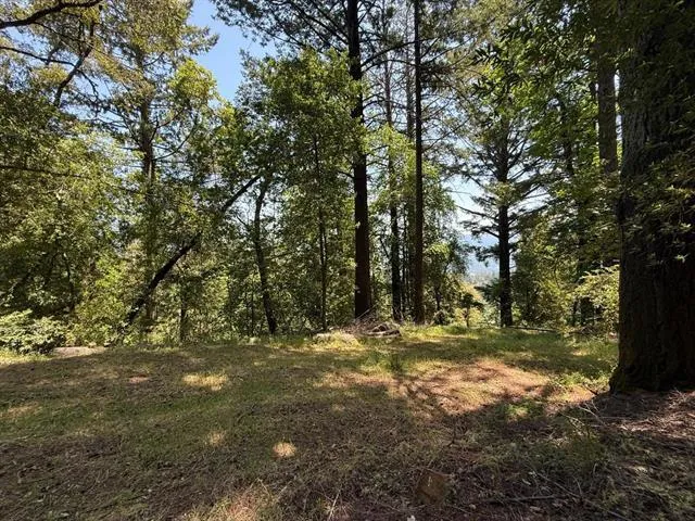 19179 Skyline Boulevard, Los Gatos, California 95033