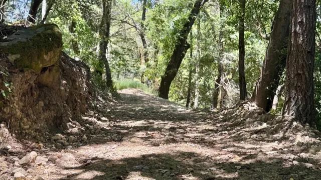 19179 Skyline Boulevard, Los Gatos, California 95033