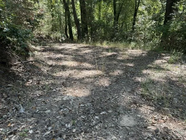 19179 Skyline Boulevard, Los Gatos, California 95033