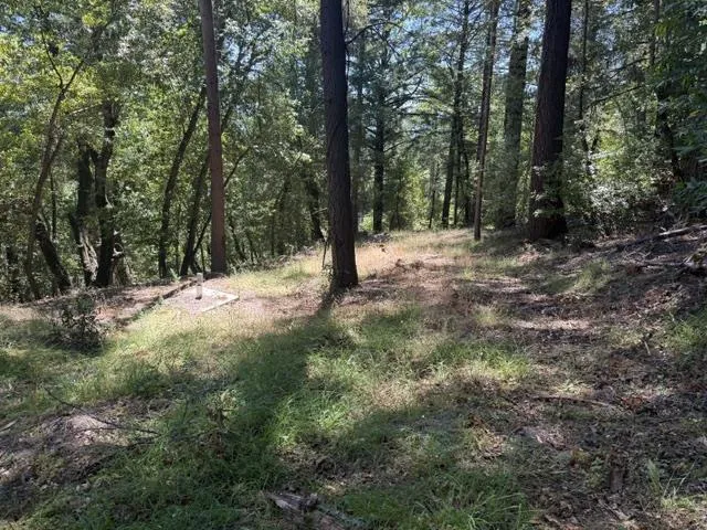 19179 Skyline Boulevard, Los Gatos, California 95033