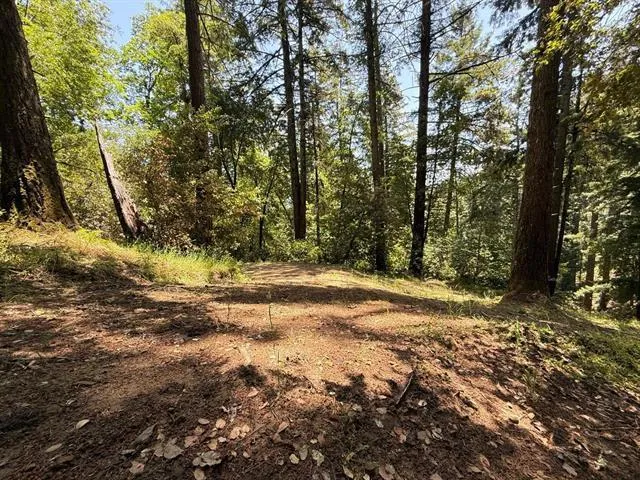 19179 Skyline Boulevard, Los Gatos, California 95033
