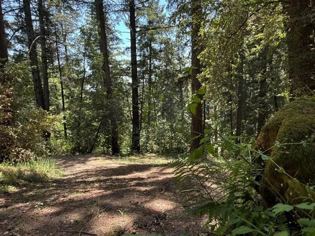 19179 Skyline Boulevard, Los Gatos, California 95033
