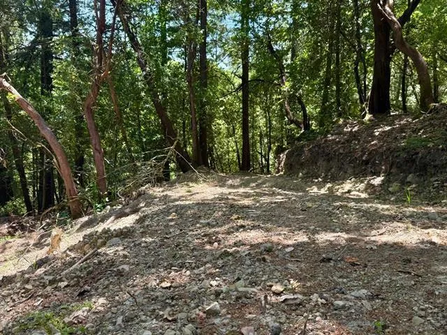 19179 Skyline Boulevard, Los Gatos, California 95033