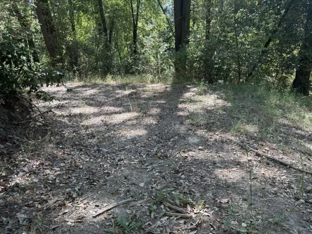 19179 Skyline Boulevard, Los Gatos, California 95033