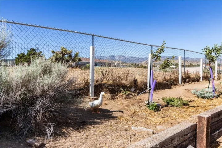8650 Cowberry, Phelan, California 92371