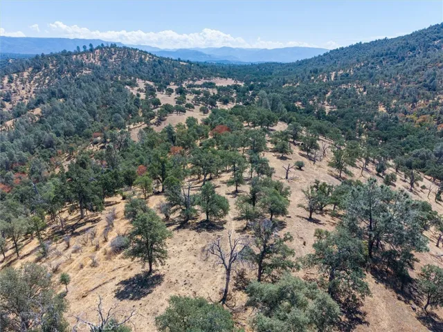 157 Acres Mountain View Peak Road, Oneals, California 93645