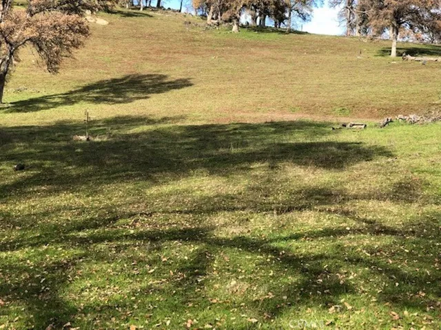 157 Acres Mountain View Peak Road, Oneals, California 93645