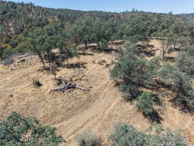 157 Acres Mountain View Peak Road, Oneals, California 93645