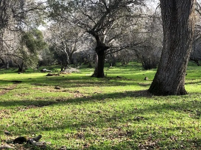157 Acres Mountain View Peak Road, Oneals, California 93645