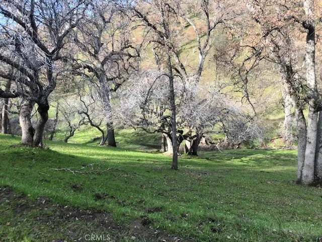 157 Acres Mountain View Peak Road, Oneals, California 93645
