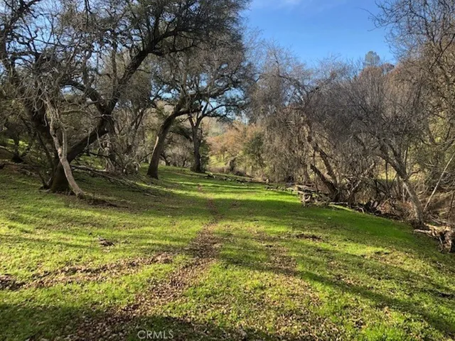 157 Acres Mountain View Peak Road, Oneals, California 93645