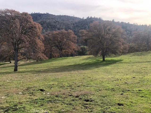 157 Acres Mountain View Peak Road, Oneals, California 93645