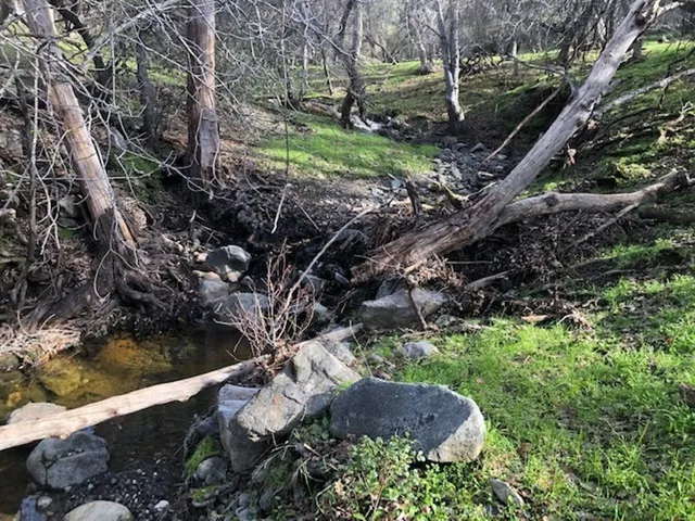 157 Acres Mountain View Peak Road, Oneals, California 93645