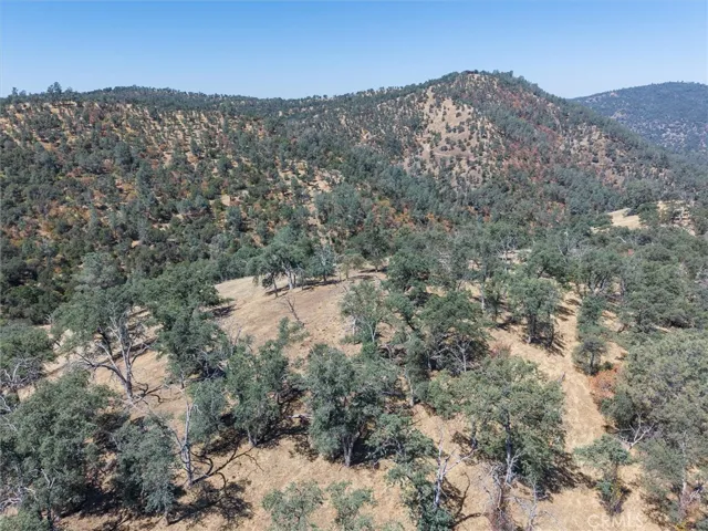 157 Acres Mountain View Peak Road, Oneals, California 93645