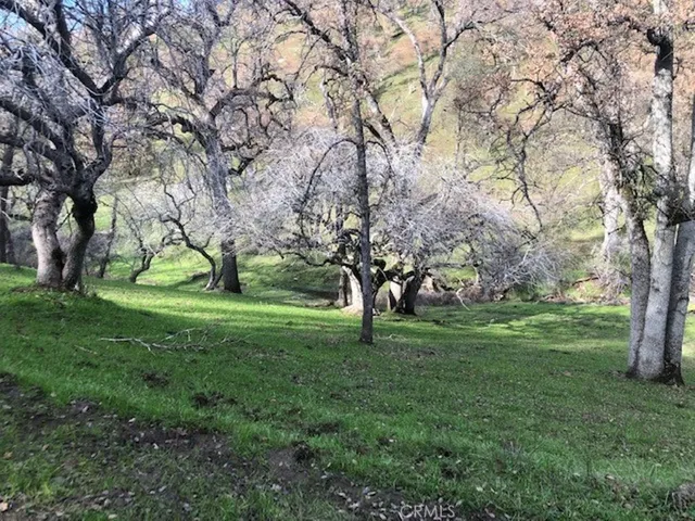 157 Acres Mountain View Peak Road, Oneals, California 93645