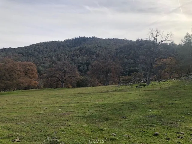 157 Acres Mountain View Peak Road, Oneals, California 93645