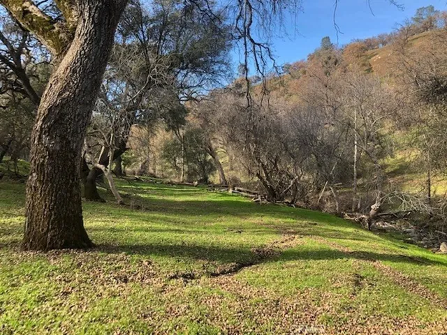 157 Acres Mountain View Peak Road, Oneals, California 93645