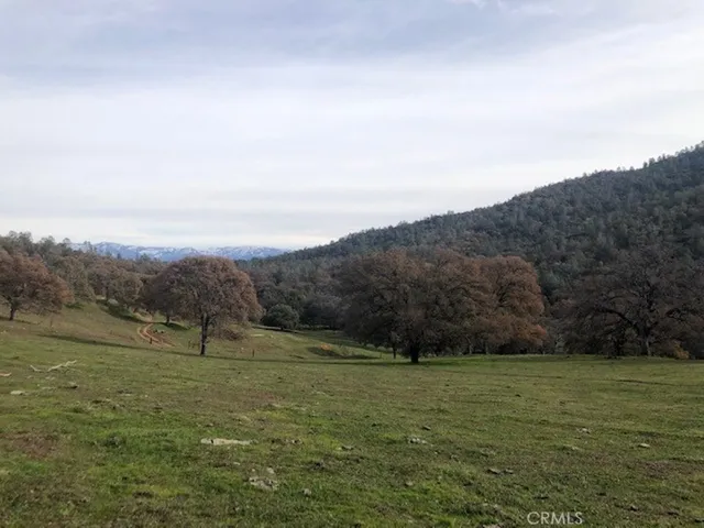 157 Acres Mountain View Peak Road, Oneals, California 93645