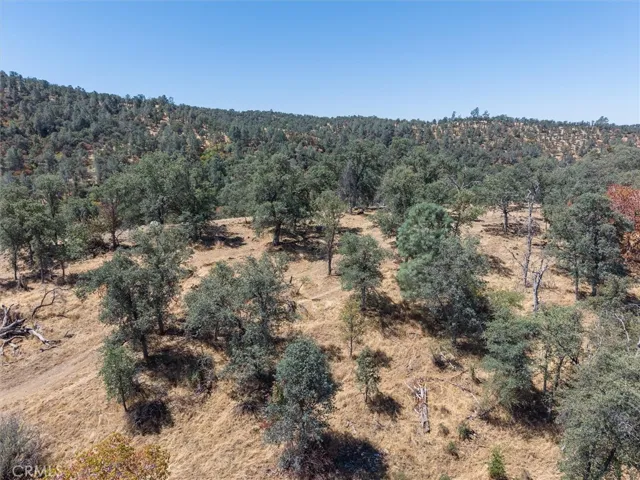 157 Acres Mountain View Peak Road, Oneals, California 93645