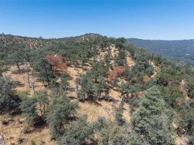 157 Acres Mountain View Peak Road, Oneals, California 93645