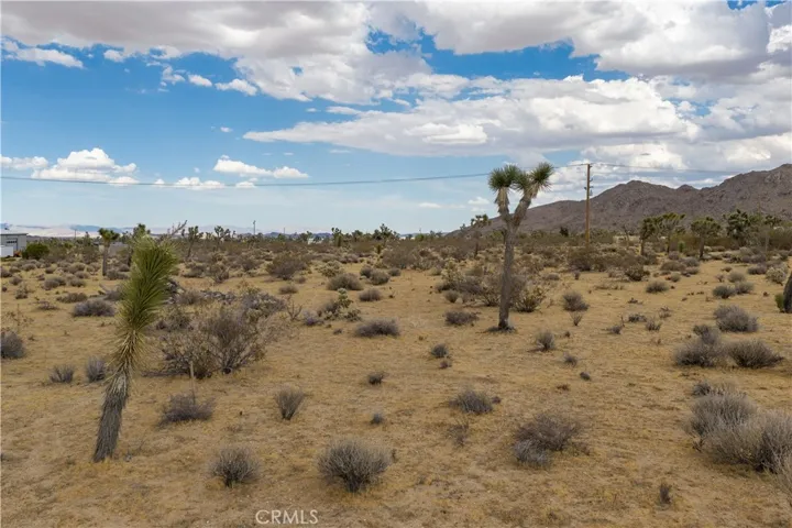 3786 Alta Avenue, Yucca Valley, California 92284