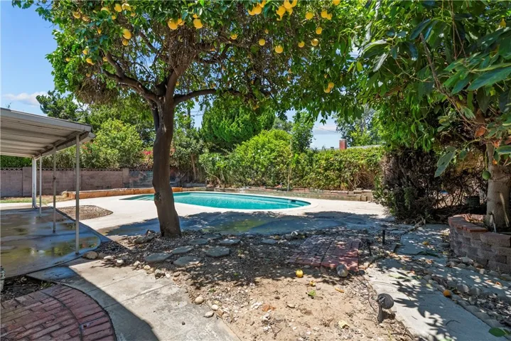 huge backyard