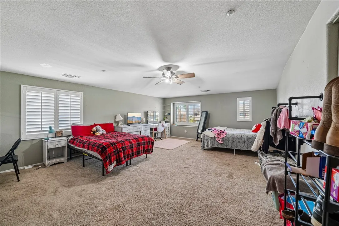 Loft / 5th Bedroom