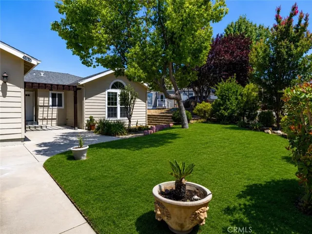 This is what it could look like again in front yard. Tenant let lawn die. This is AI generated.