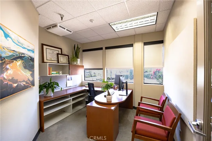 Typical first floor (lower level) private office with ample natural lighting