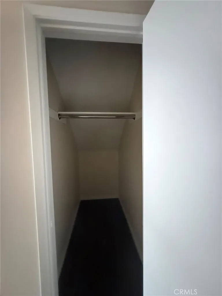 Downstairs closet under step