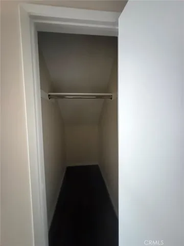 Downstairs closet under step