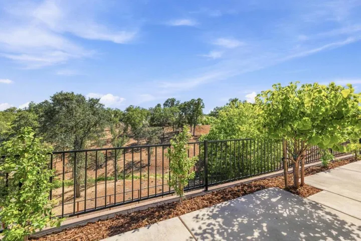 216 Raccoon Hollow Loop, Copperopolis, California 95228