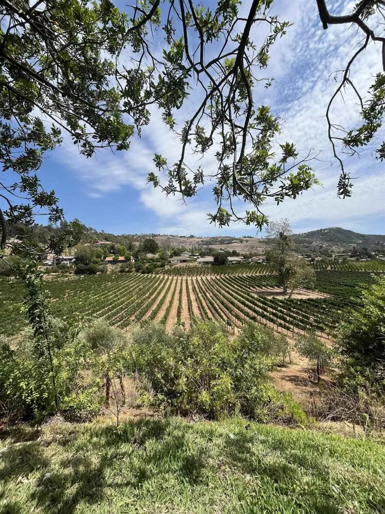 2829 Golfview Drive, Fallbrook, California 92028 — photo 5