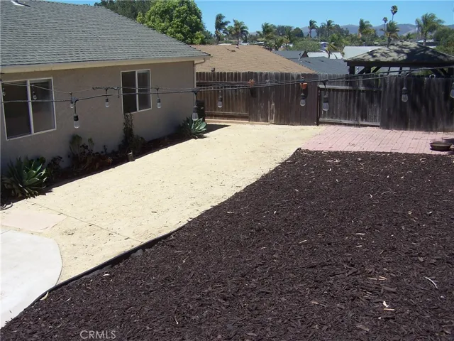Backyard 1