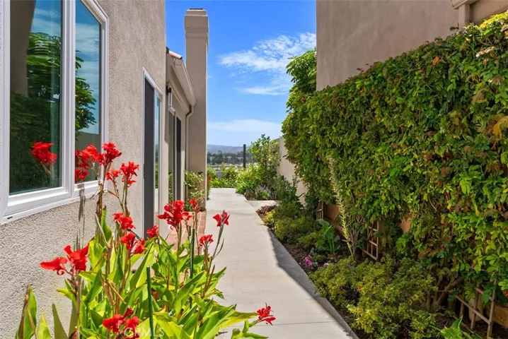 Side yard
