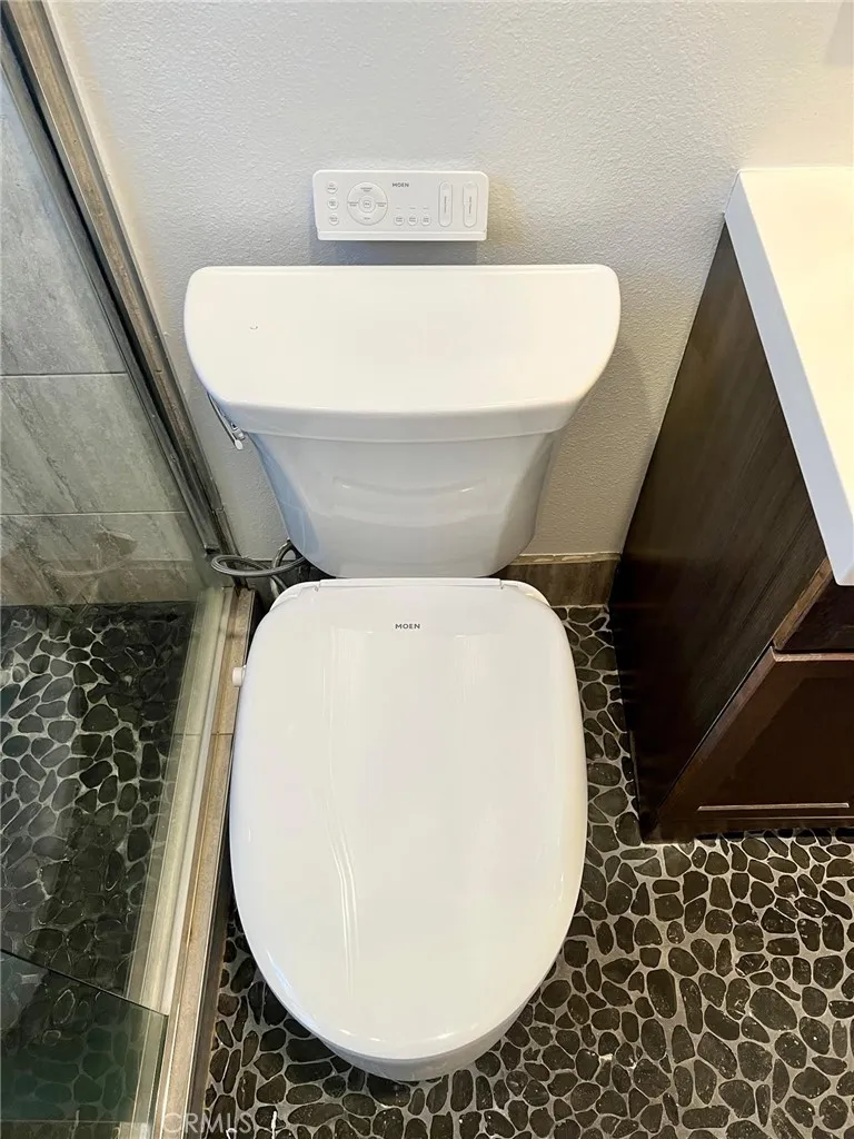 Bidet toilet