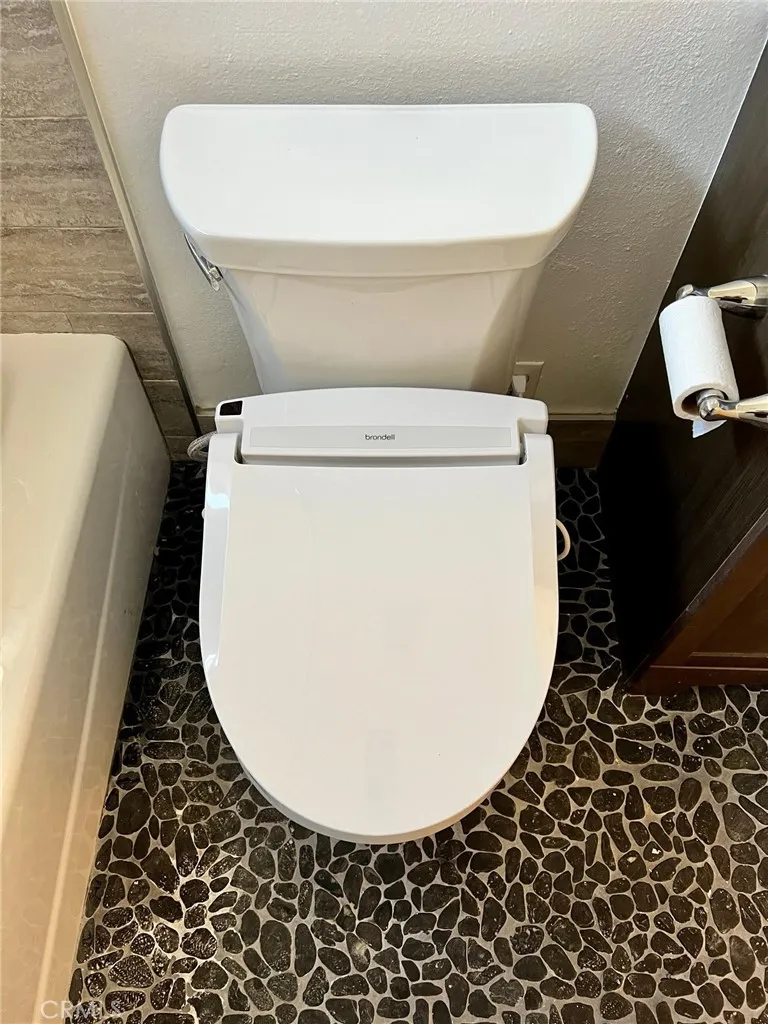 Bidet toilet
