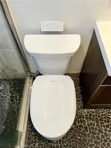 Bidet toilet