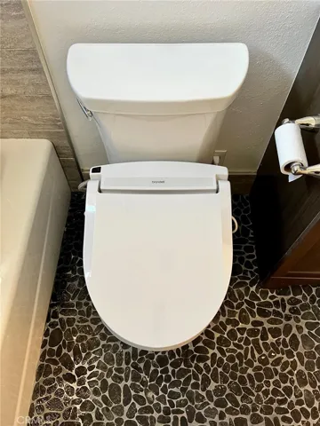 Bidet toilet